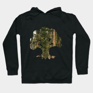 Forest Hoodie